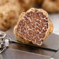 Bianchetto Truffle – Tuber borchii