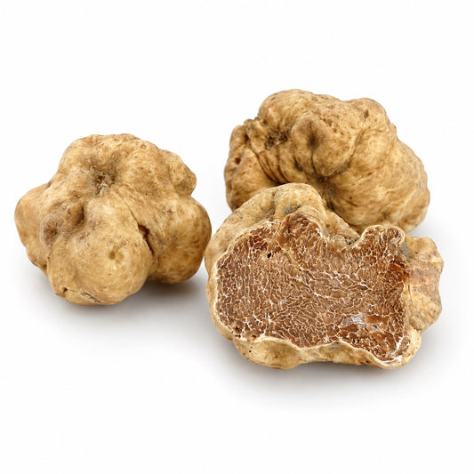 Fine White Truffle (Tuber magnatum Pico)