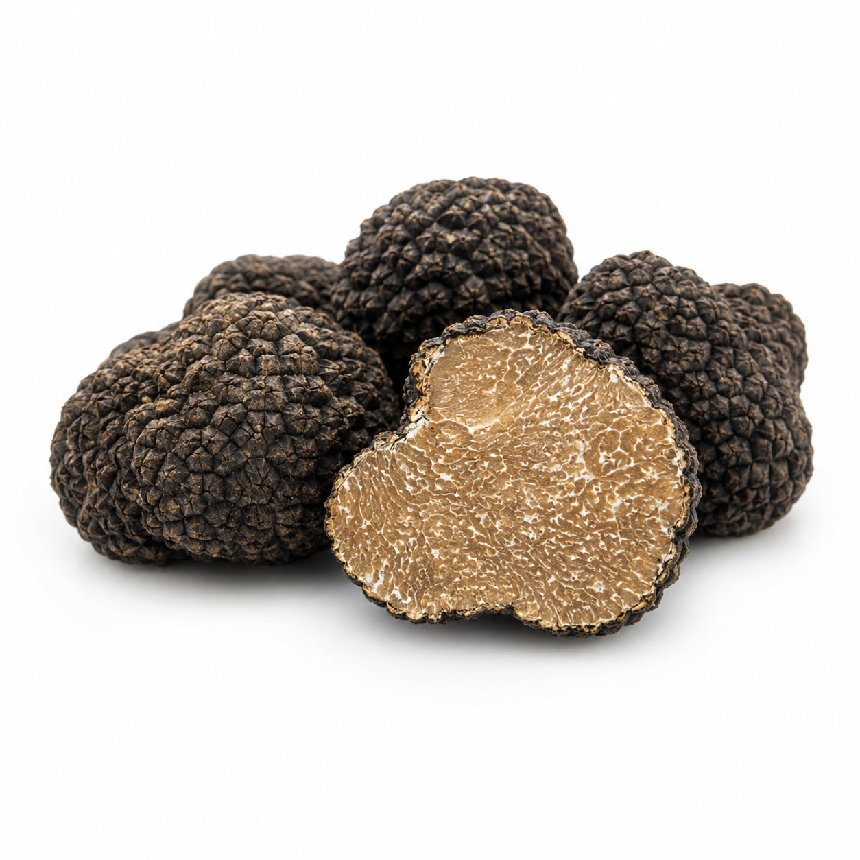Fresh Summer Black Truffle Tuber aestivum with dark textured skin and cut interior